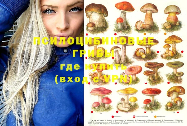 дурь Абинск