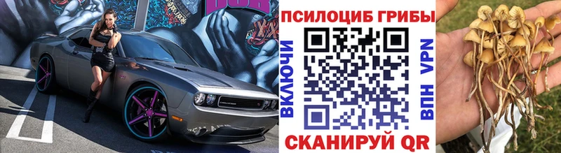 Псилоцибиновые грибы MAGIC MUSHROOMS  hydra tor  Мегион 